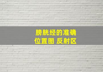 膀胱经的准确位置图 反射区